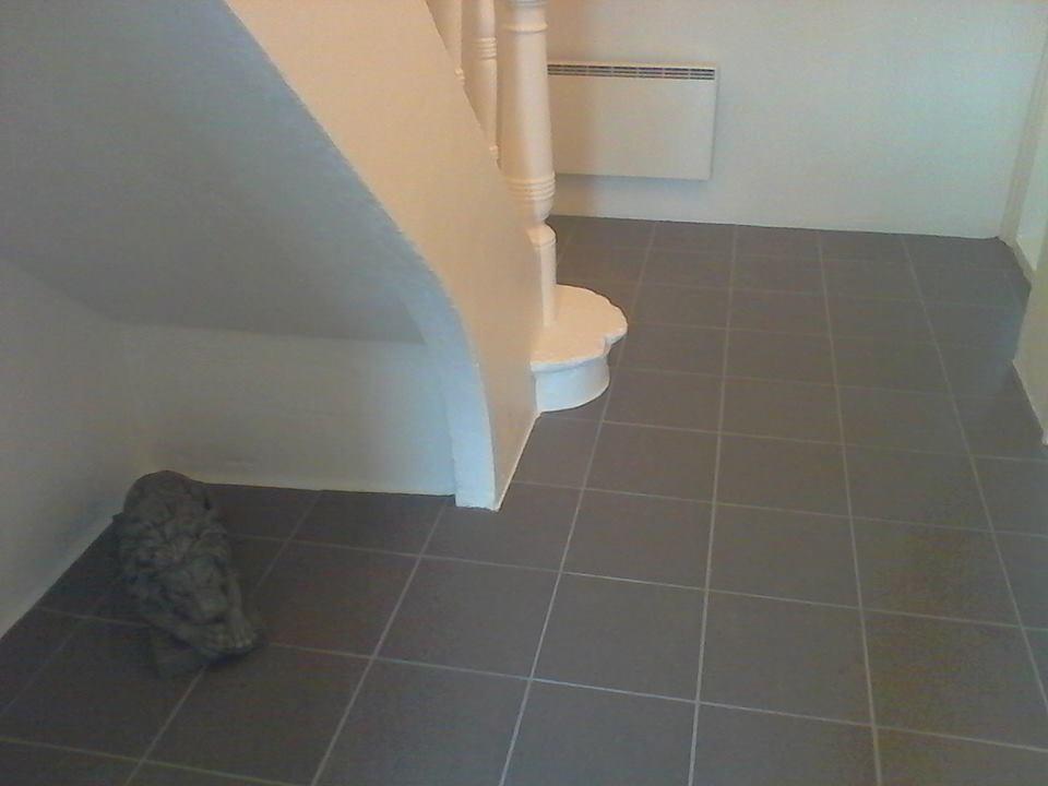 Kosy Vik Apartment ภายนอก รูปภาพ
